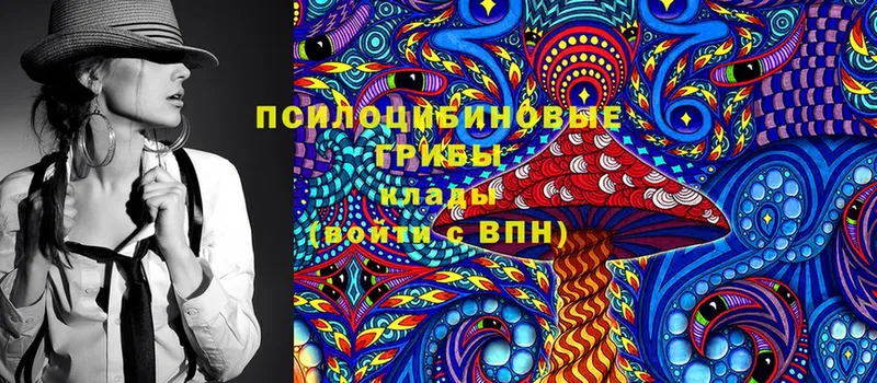 Псилоцибиновые грибы Cubensis Бугуруслан